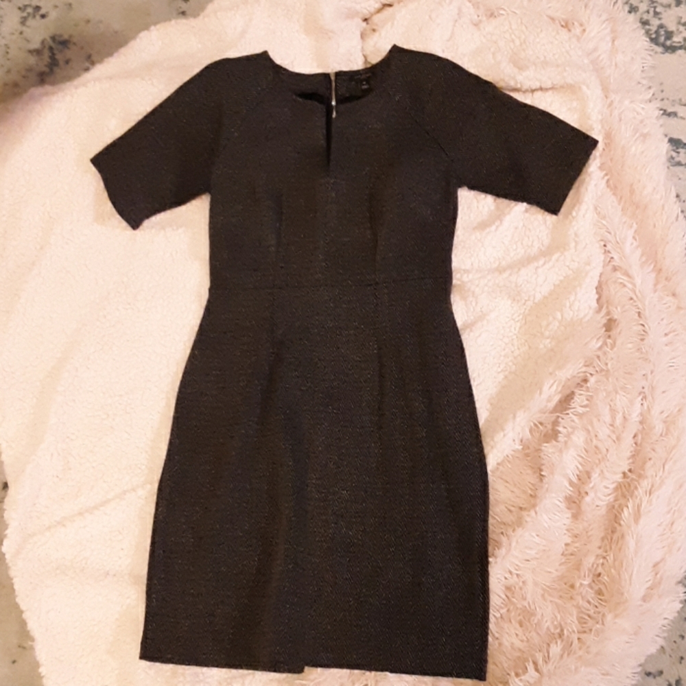 Ann Taylor Dress
